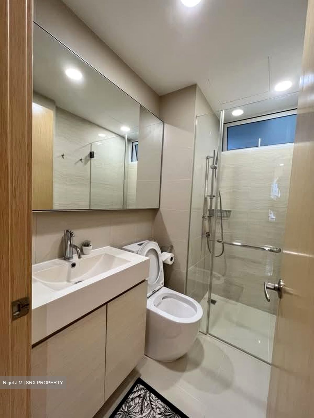 Waterview (D18), Condominium #599110211